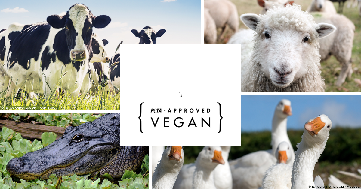 5 Reasons Why Vegan Leather Handbags Are Better! – Texcoco Collective